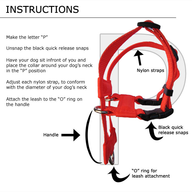 Fitting Instructions Scruffy Guider Dog Training Collar